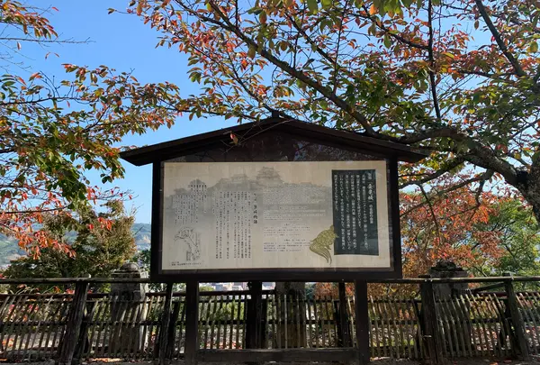 松山城の写真・動画_image_472510