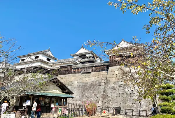 松山城の写真・動画_image_472511