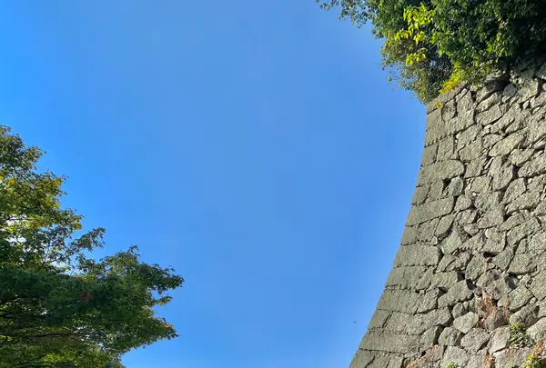 松山城二之丸史跡庭園の写真・動画_image_472525