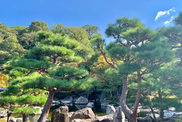 松山城二之丸史跡庭園の写真・動画_image_472526