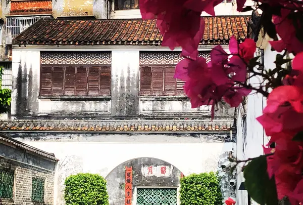 Mandarin's Houseの写真・動画_image_472956