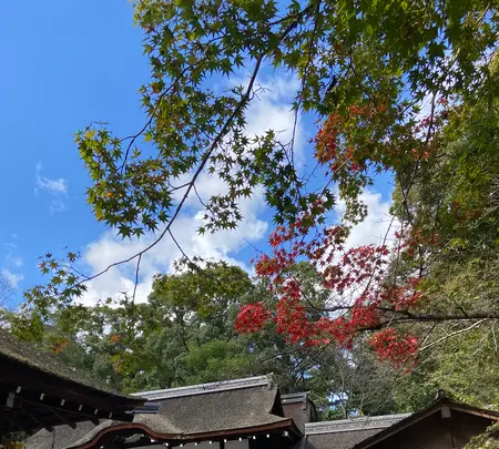 河合神社の写真・動画_image_473077