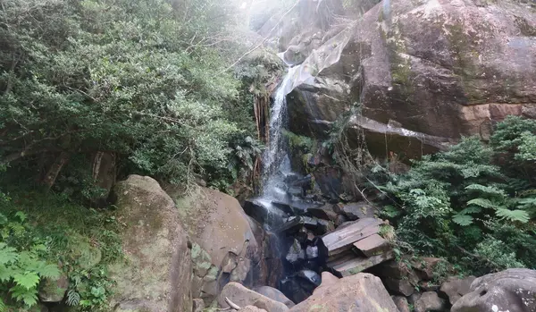 轟の滝の写真・動画_image_474582