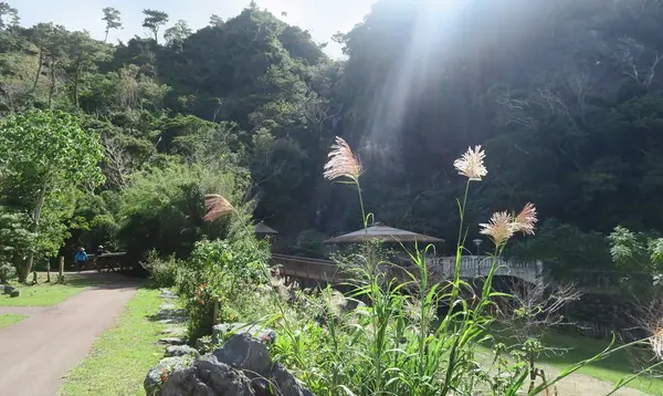 轟の滝の写真・動画_image_474584
