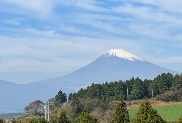 山中城跡の写真・動画_image_476202