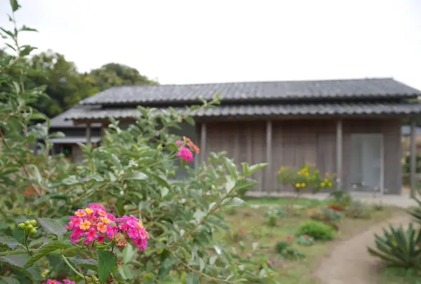 犬島「家プロジェクト」Ｉ邸の写真・動画_image_477824