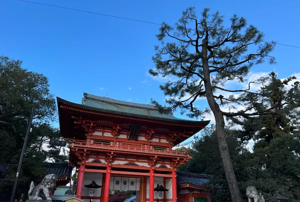 今宮神社の写真・動画_image_478428