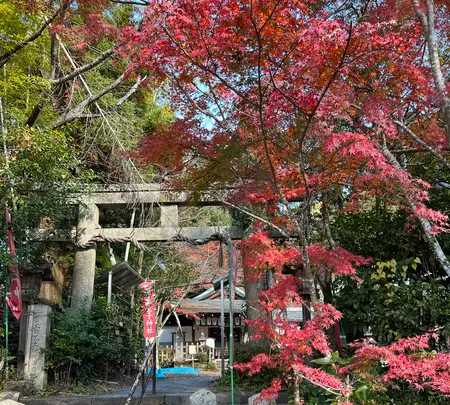 熊野若王子神社の写真・動画_image_479060