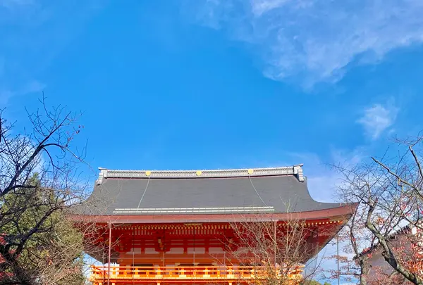 八坂神社の写真・動画_image_479457
