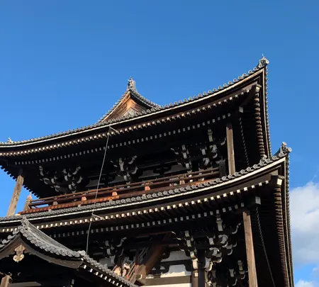 東福寺の写真・動画_image_479569