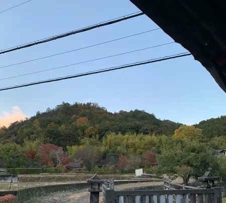 嵐山の写真・動画_image_479954