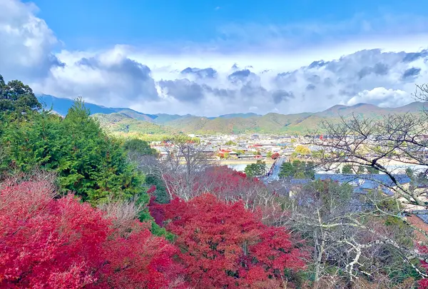 嵐山の写真・動画_image_479958