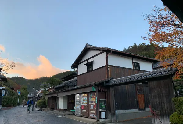 嵐山の写真・動画_image_479962