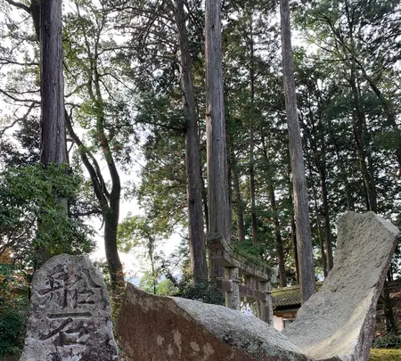 諏訪神社の写真・動画_image_480043