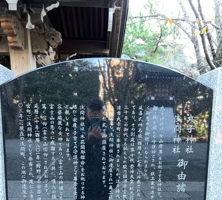 丸子神社 浅間神社の写真・動画_image_483609