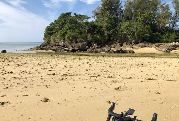 エージナ島の写真・動画_image_483657