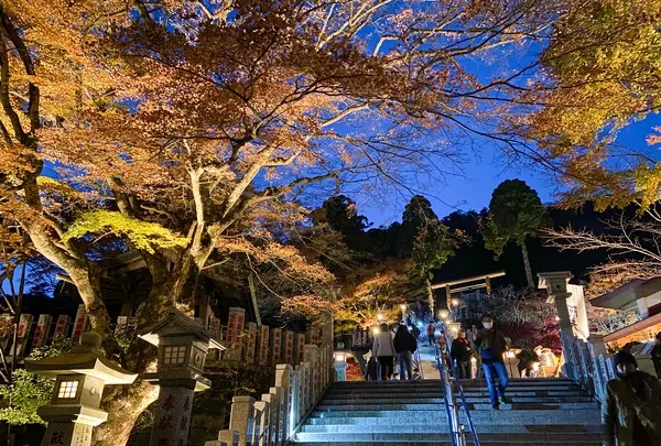 大山阿夫利神社の写真・動画_image_484371