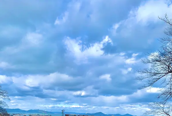 丸亀城の写真・動画_image_485079