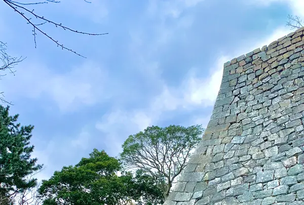 丸亀城の写真・動画_image_485084