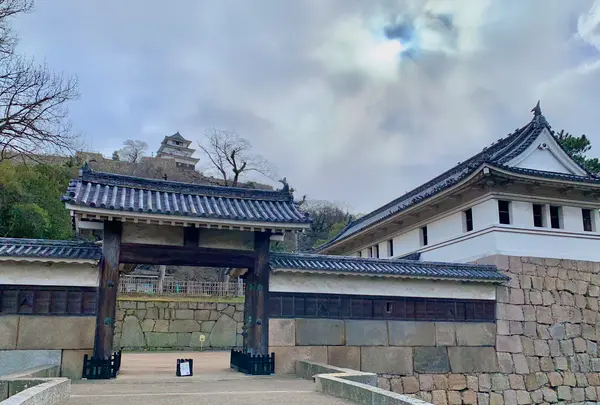丸亀城の写真・動画_image_485092