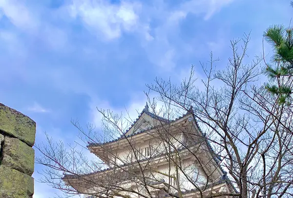 丸亀城の写真・動画_image_485101