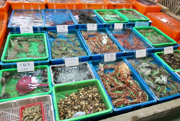 富基漁港の写真・動画_image_485503