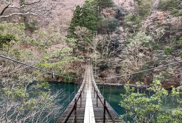 夢の吊橋の写真・動画_image_486781