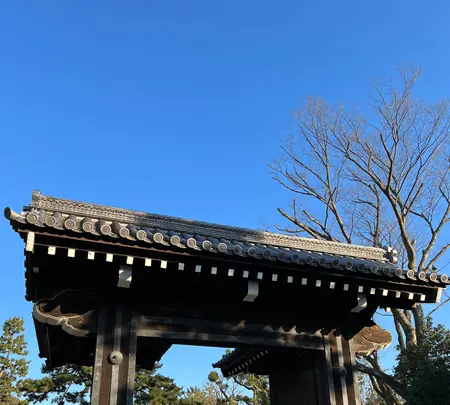 京都御苑の写真・動画_image_487944