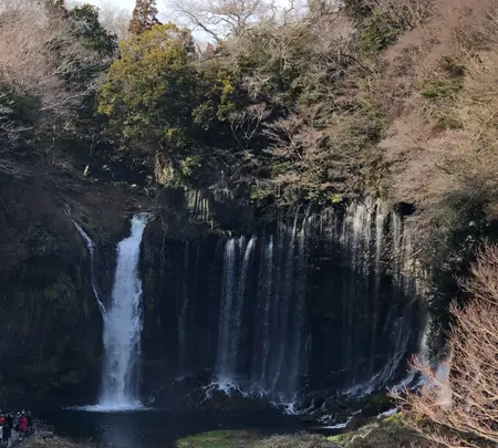 白糸の滝の写真・動画_image_488798