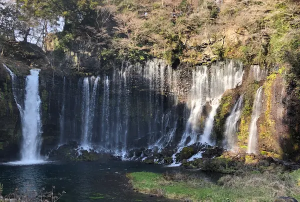 白糸の滝の写真・動画_image_488802
