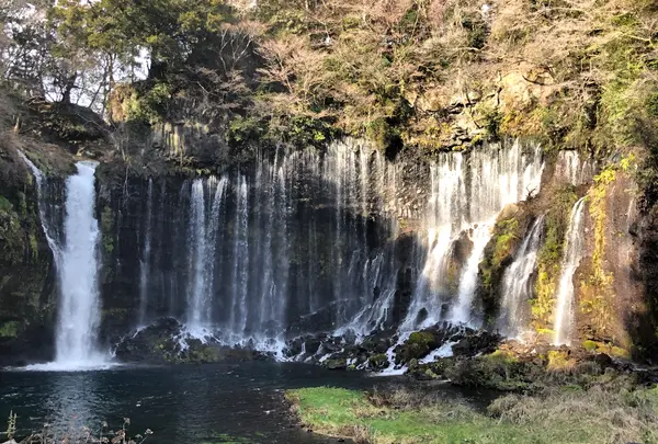 白糸の滝の写真・動画_image_488803