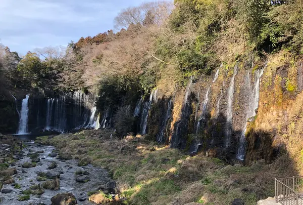 白糸の滝の写真・動画_image_488805
