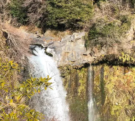 音止めの滝の写真・動画_image_488808
