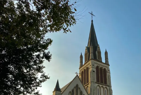 泰晤士教堂の写真・動画_image_491192