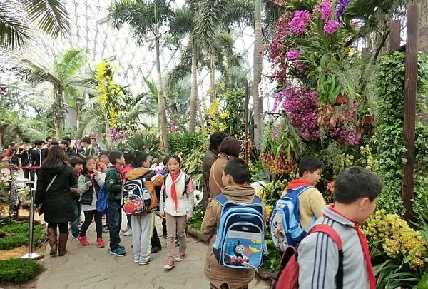 上海辰山植物園の写真・動画_image_491205