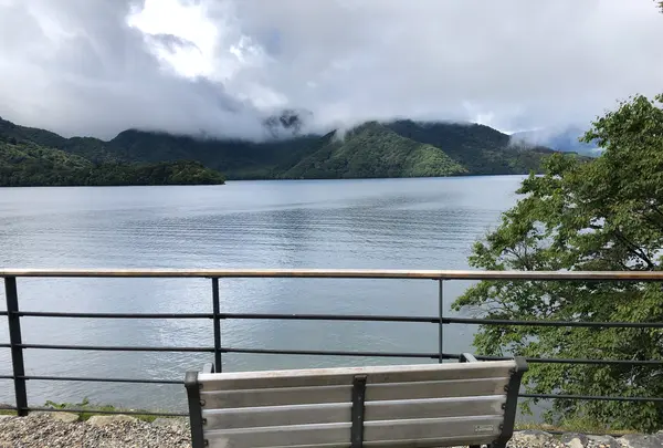 英国大使館別荘記念公園の写真・動画_image_491665