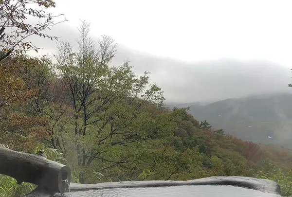 コージーインペンション箱根の山の写真・動画_image_492734