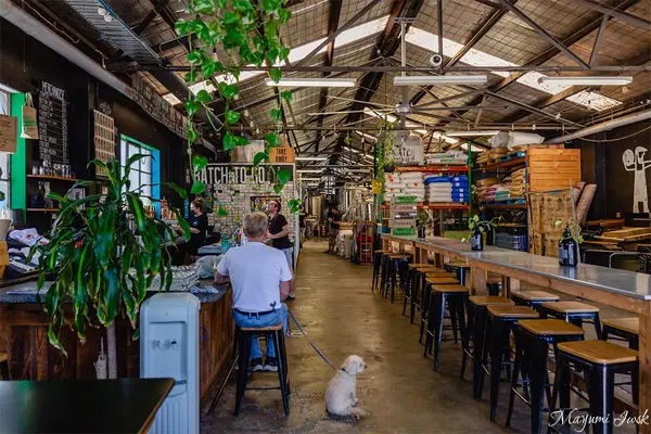Batch Brewing Companyの写真・動画_image_495096