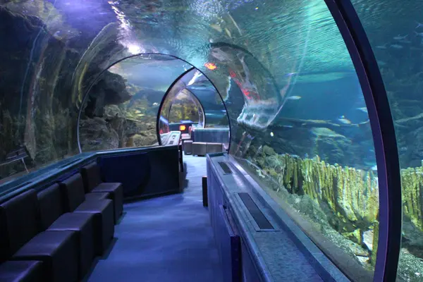 Under Water World（アンダーウォーターワールド）の写真・動画_image_496057