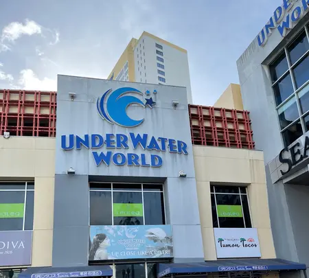 Under Water World（アンダーウォーターワールド）の写真・動画_image_497563