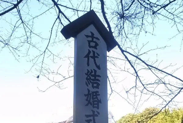 八重垣神社の写真・動画_image_500159