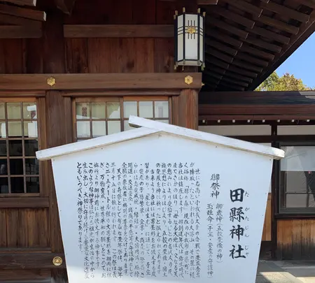 田縣神社の写真・動画_image_500675