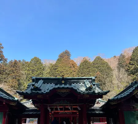 箱根神社の写真・動画_image_501114