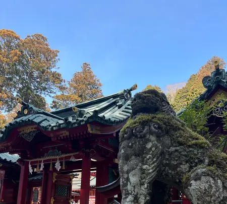箱根神社の写真・動画_image_501115