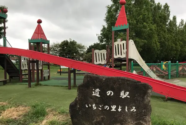 道の駅いちごの里よしみの写真・動画_image_501207