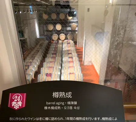 池田ワイン城の写真・動画_image_502110