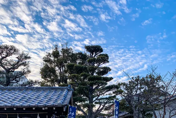 鶴羽根神社の写真・動画_image_505016