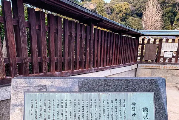 鶴羽根神社の写真・動画_image_505017