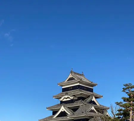 松本城の写真・動画_image_506575