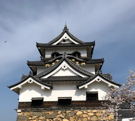 彦根城の写真・動画_image_507316